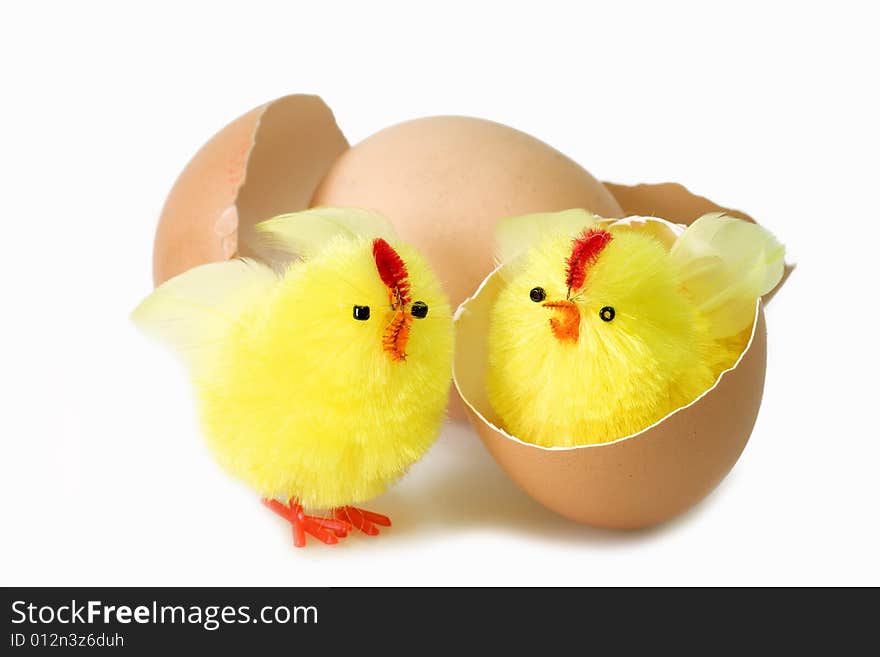 Just hutched yellow chicken, eggs and eggshell. Just hutched yellow chicken, eggs and eggshell