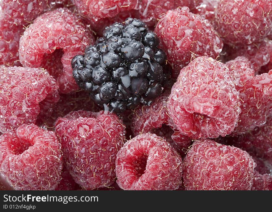 Close-up of raspberries and blackberry covered in water droplets. Close-up of raspberries and blackberry covered in water droplets