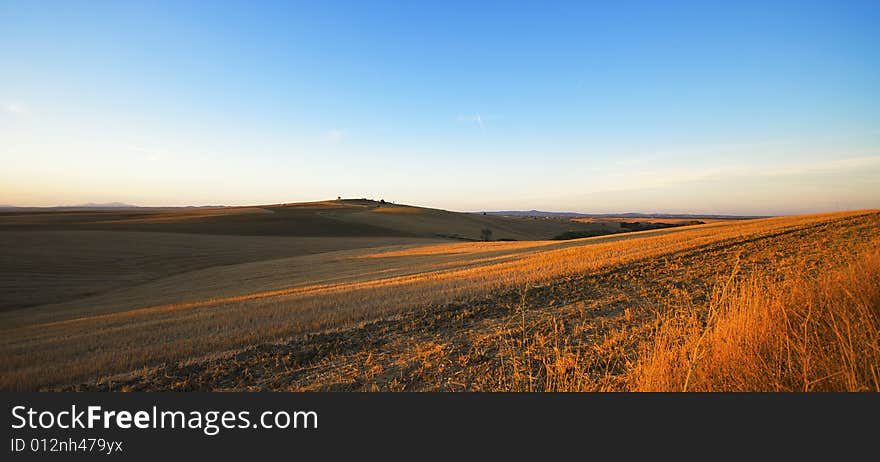 A Yellow Landscape Of Tuscania