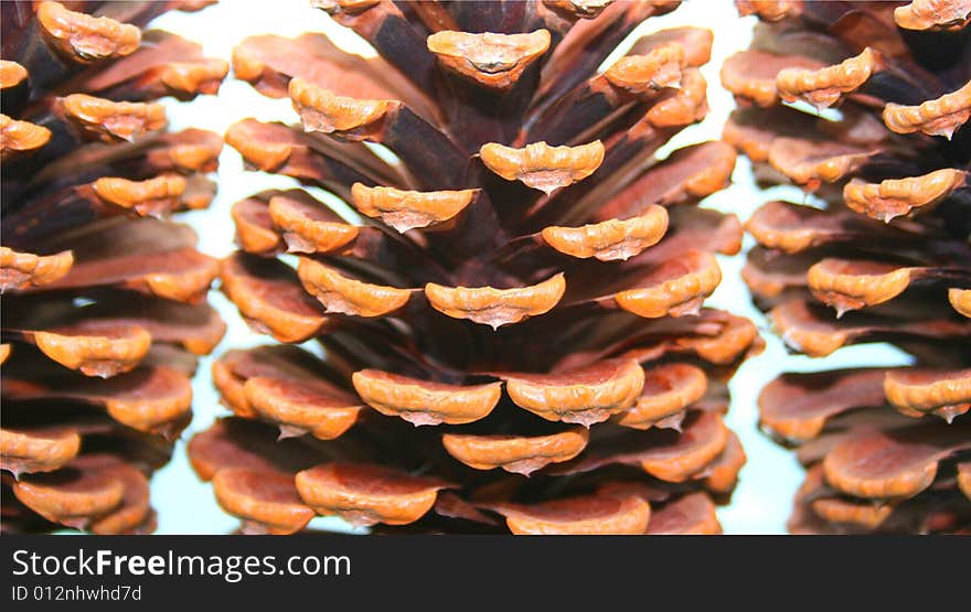 Pinecone Patterns