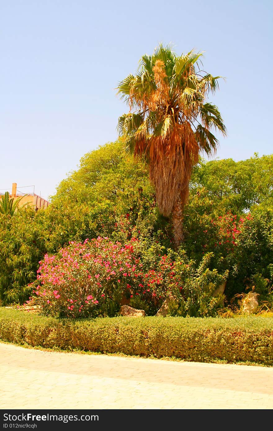 Picturesque arabic garden in Sousse, Tunisia