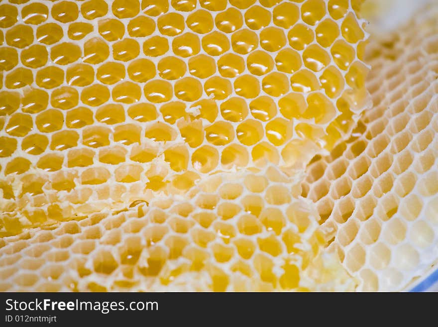 Honeycomb and honey macro detail