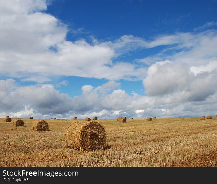 Agricultural landscape of strow bales in a field. Agricultural landscape of strow bales in a field