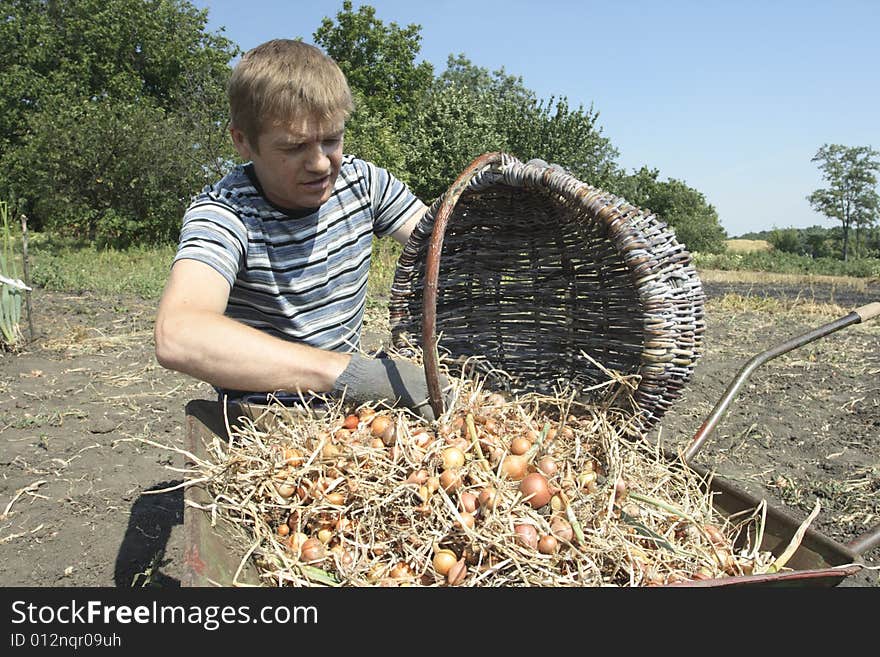 Farmer