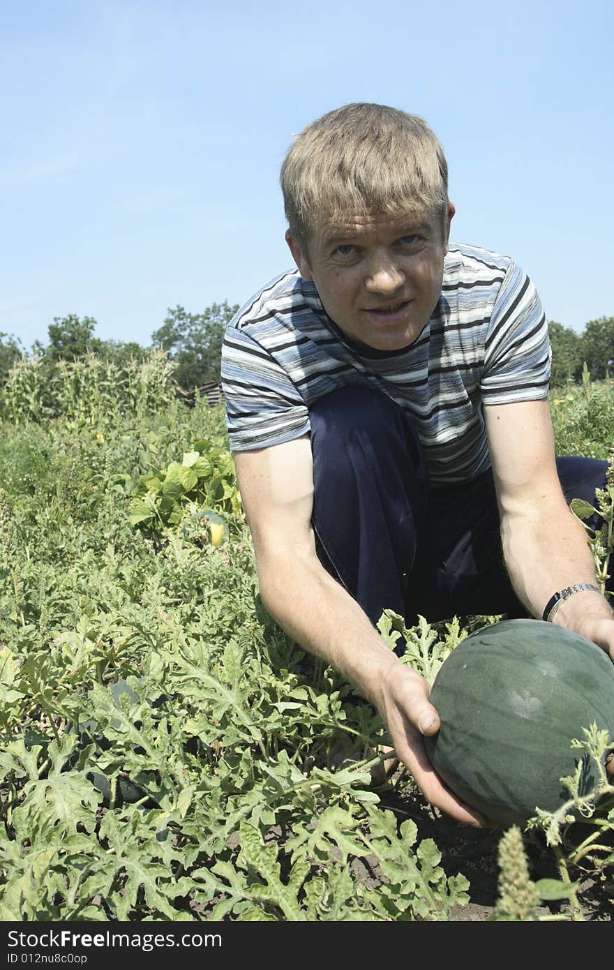 My watermelons. I grow their own own watermelons themselves. My watermelons tasty and useful. Since they real.
All naturally! Without chemistry!. My watermelons. I grow their own own watermelons themselves. My watermelons tasty and useful. Since they real.
All naturally! Without chemistry!