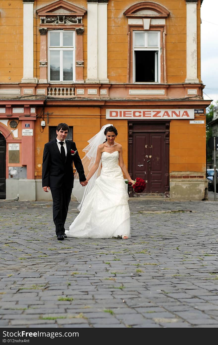 Portrait of bride and groom