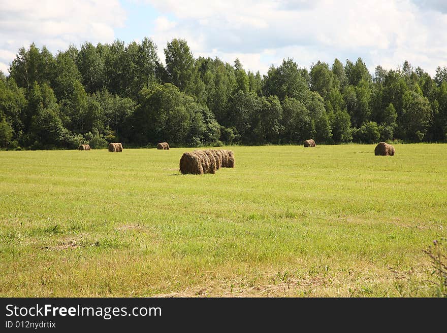 Rural landscape