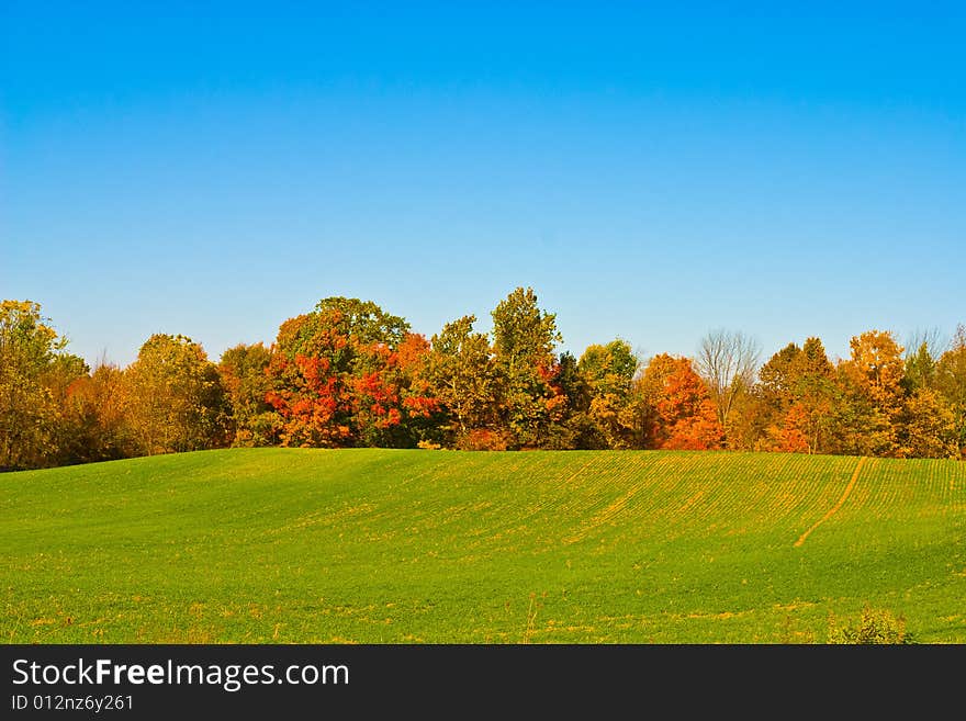 Beautiful cloudless fall day with vibrant colors. Beautiful cloudless fall day with vibrant colors