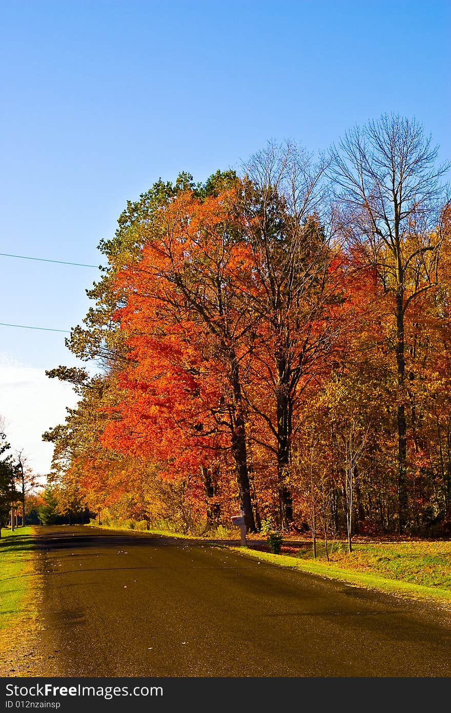 Beautiful cloudless fall day with vibrant colors. Beautiful cloudless fall day with vibrant colors