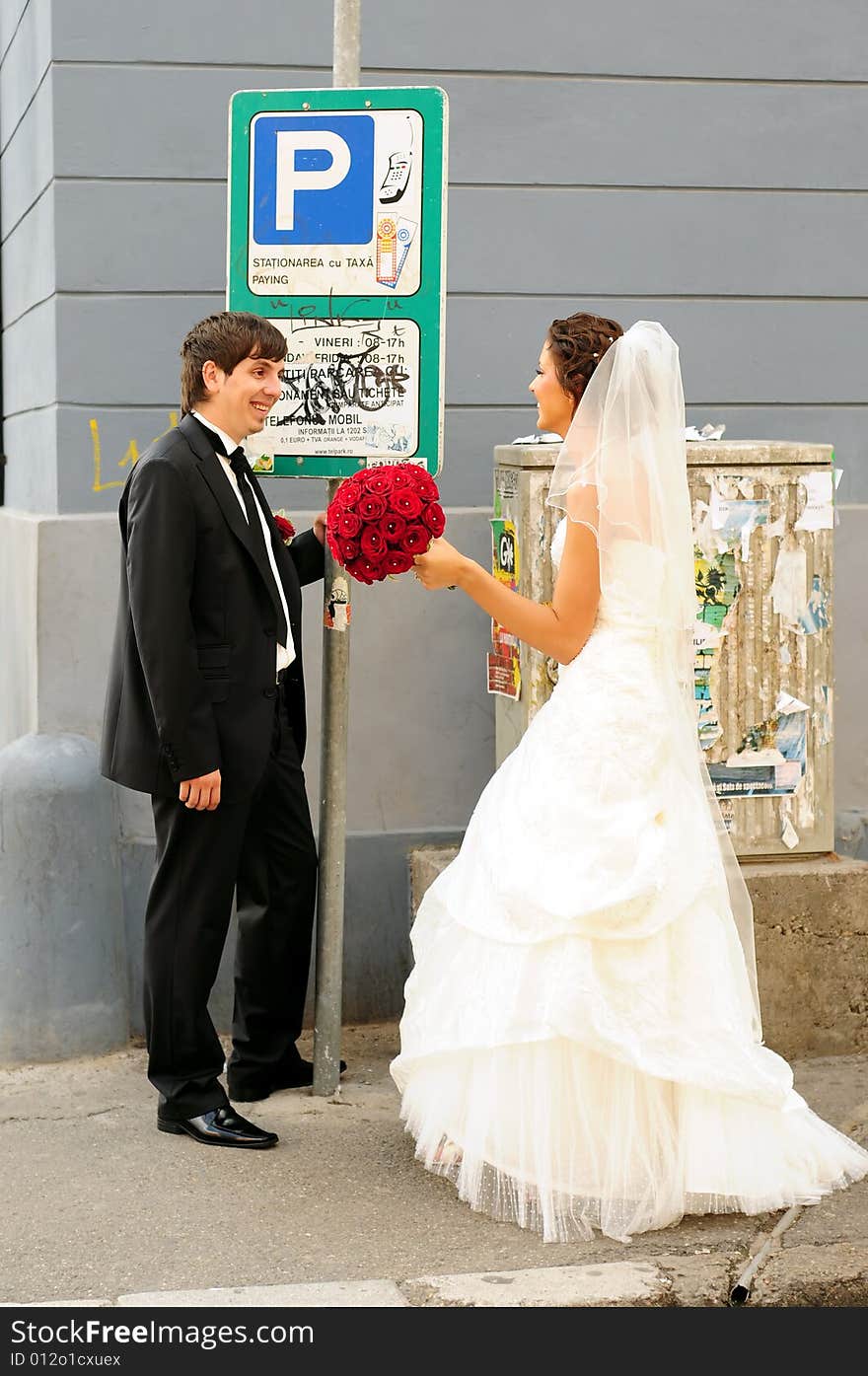 Portrait of bride and groom