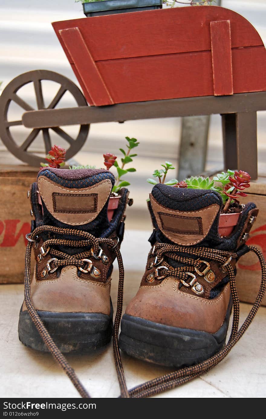 Pair of work boots used as a planter. Pair of work boots used as a planter.