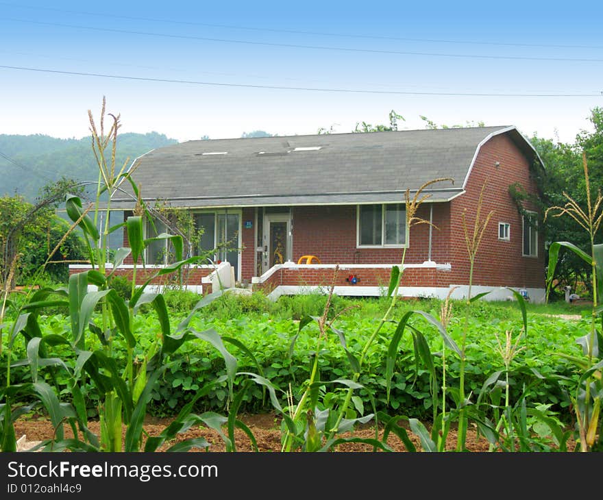 A korean house in a farm