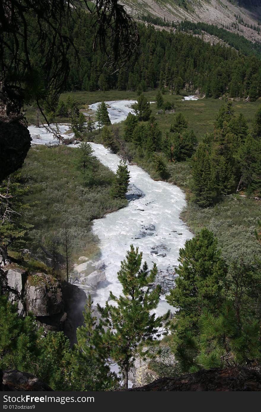 Stream in summer at Altai