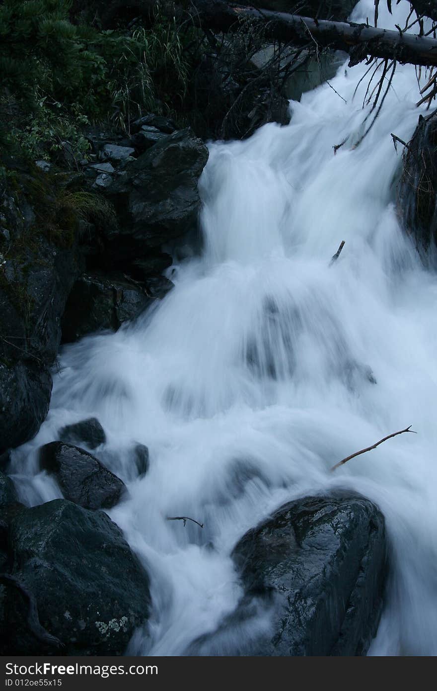 Stream in summer at Altai