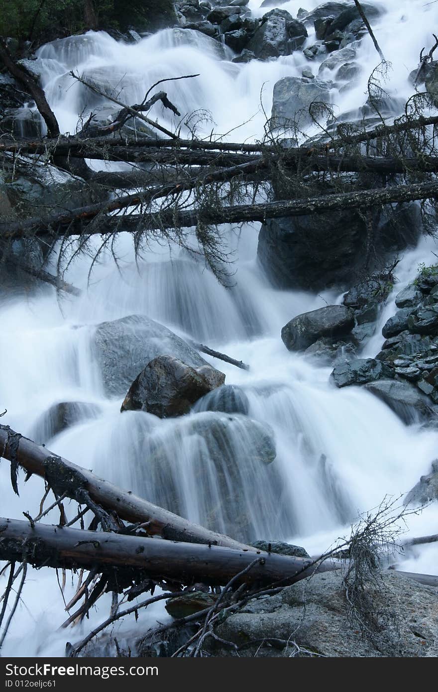 Stream in summer at Altai