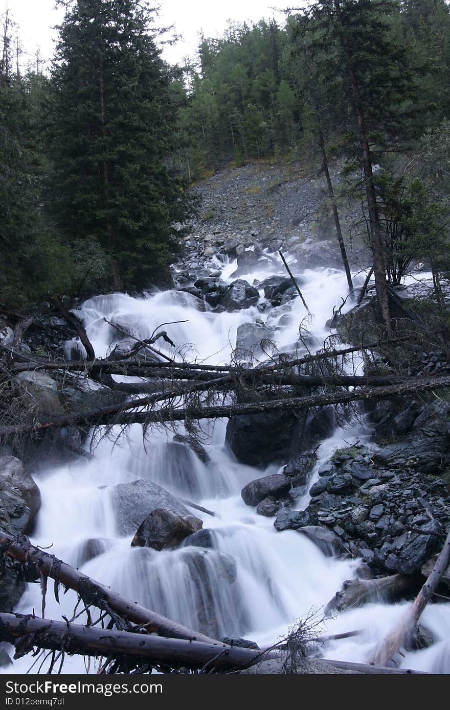 Stream in summer at Altai