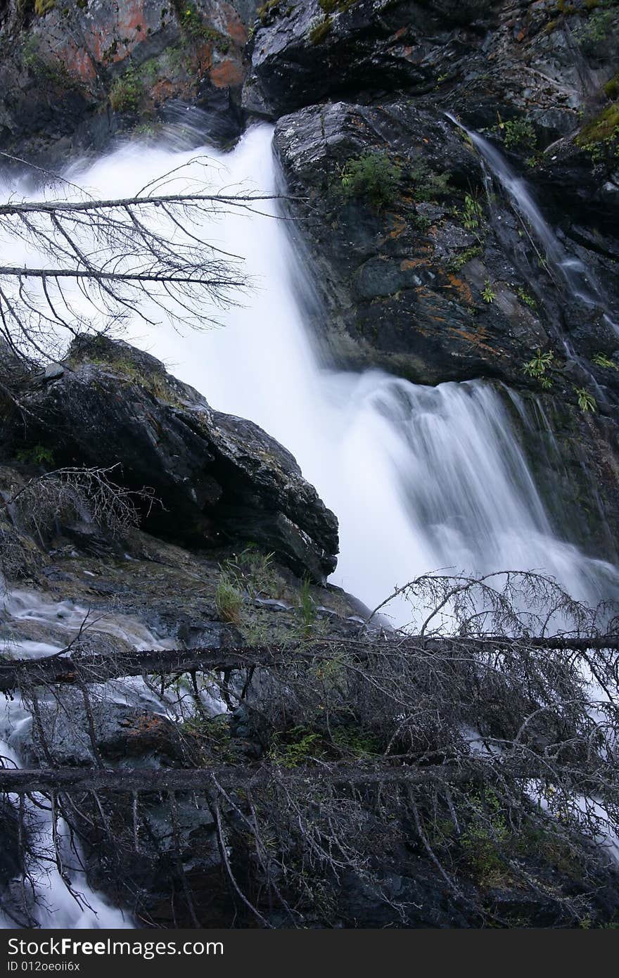 Stream in summer at Altai