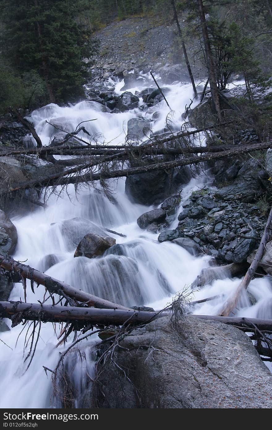 Stream in summer at Altai