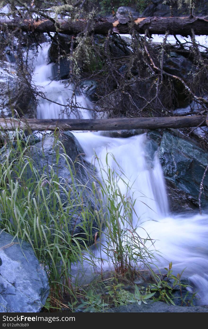 Stream in summer at Altai