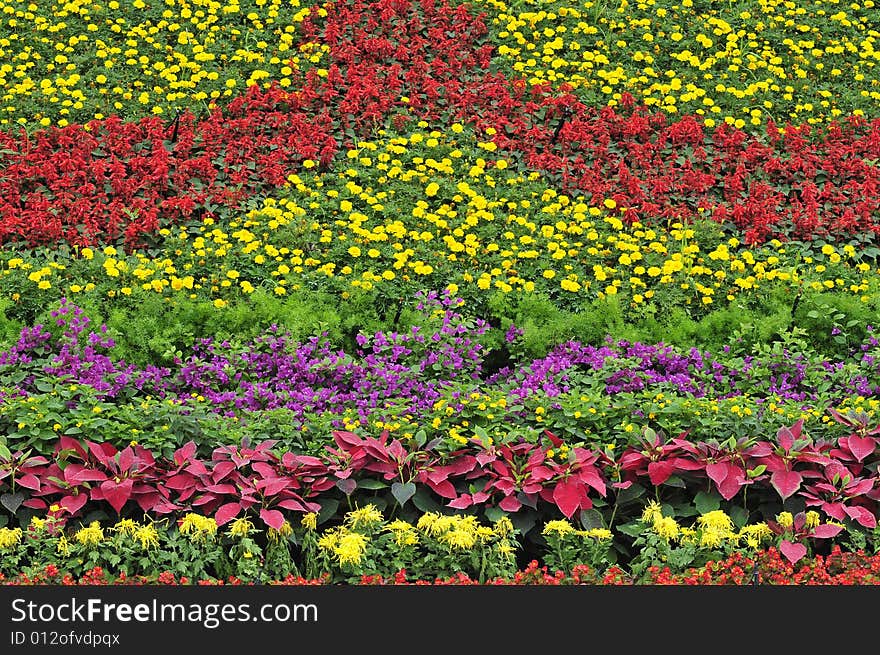 Gardening in beijing city, flower land