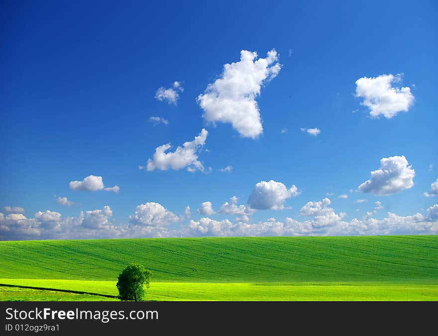 Field on a background of the blue sky. Field on a background of the blue sky