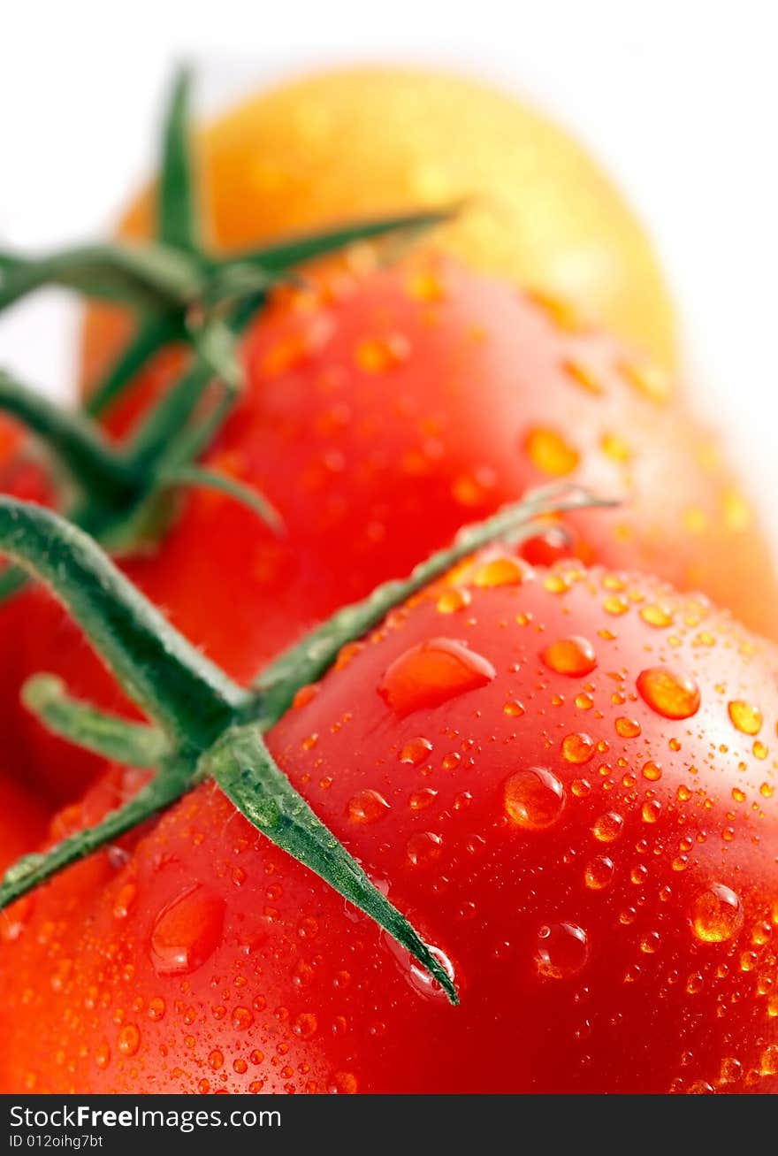 Red tomatoes on white background