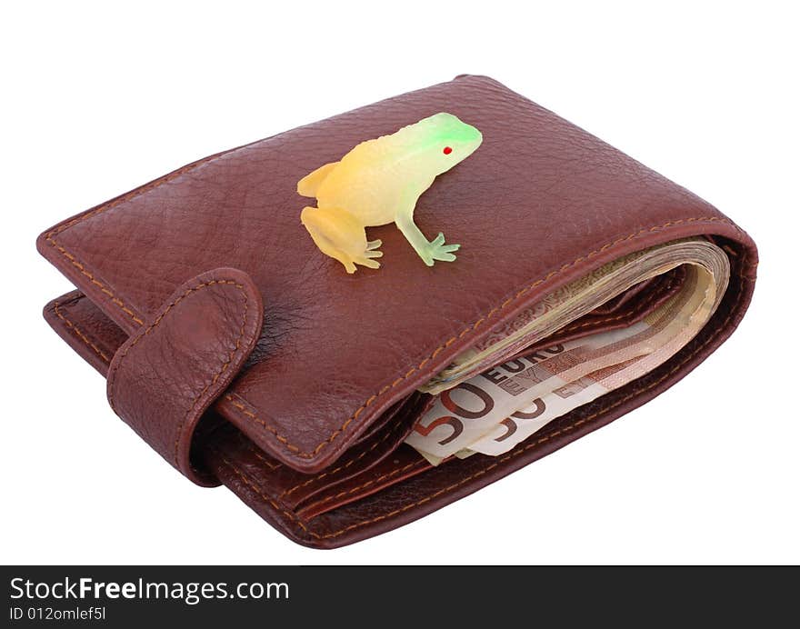 Wallet With Frog