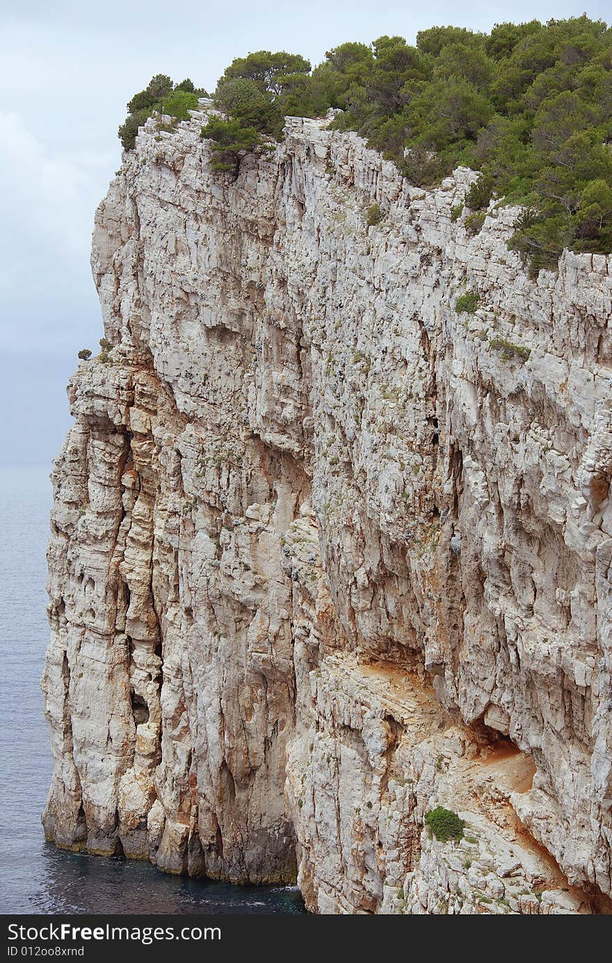 A pine tree at the cliffs of Dugi Otok (Long island) in Croatia