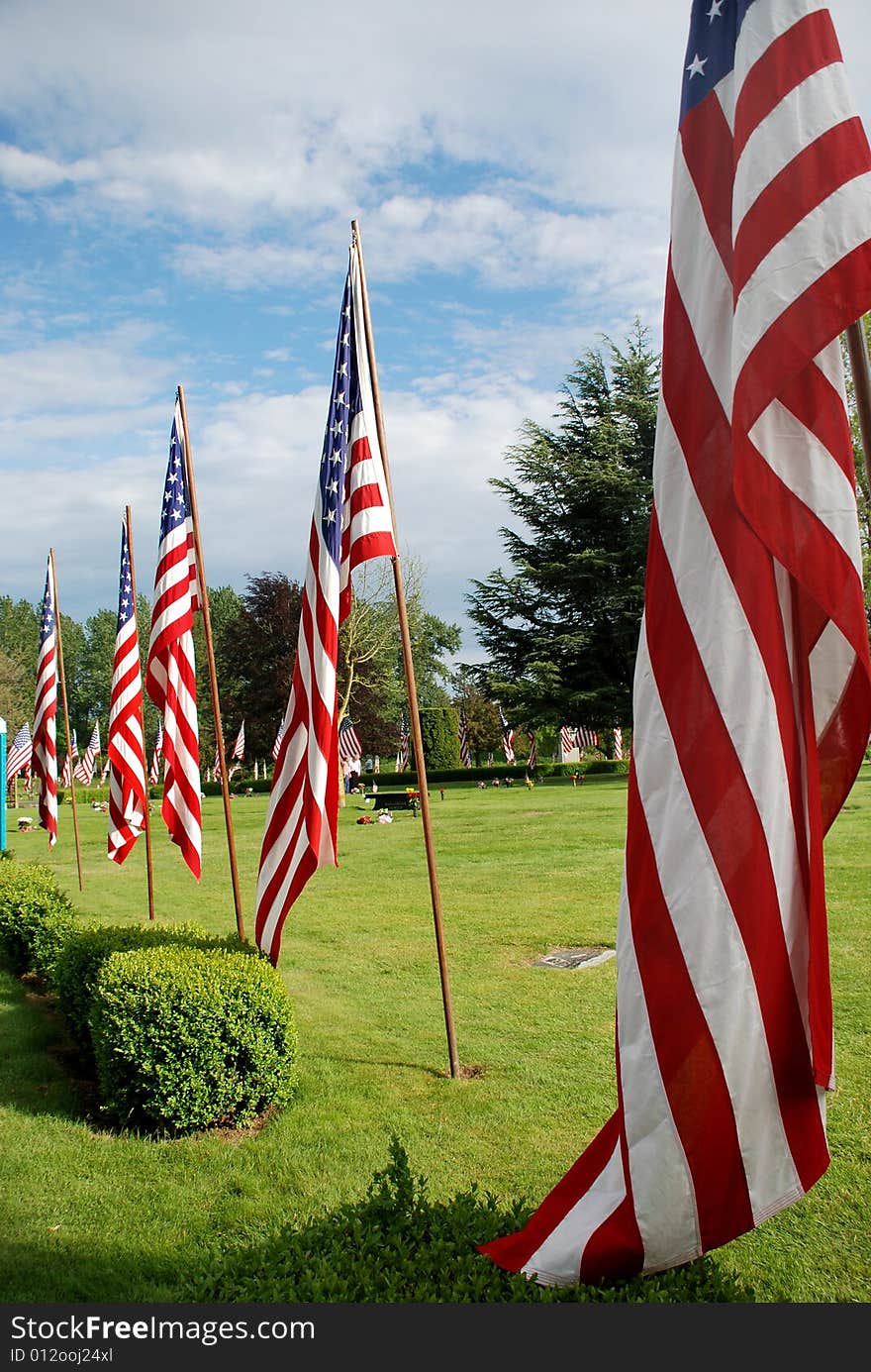 Field of Flags - Vertical