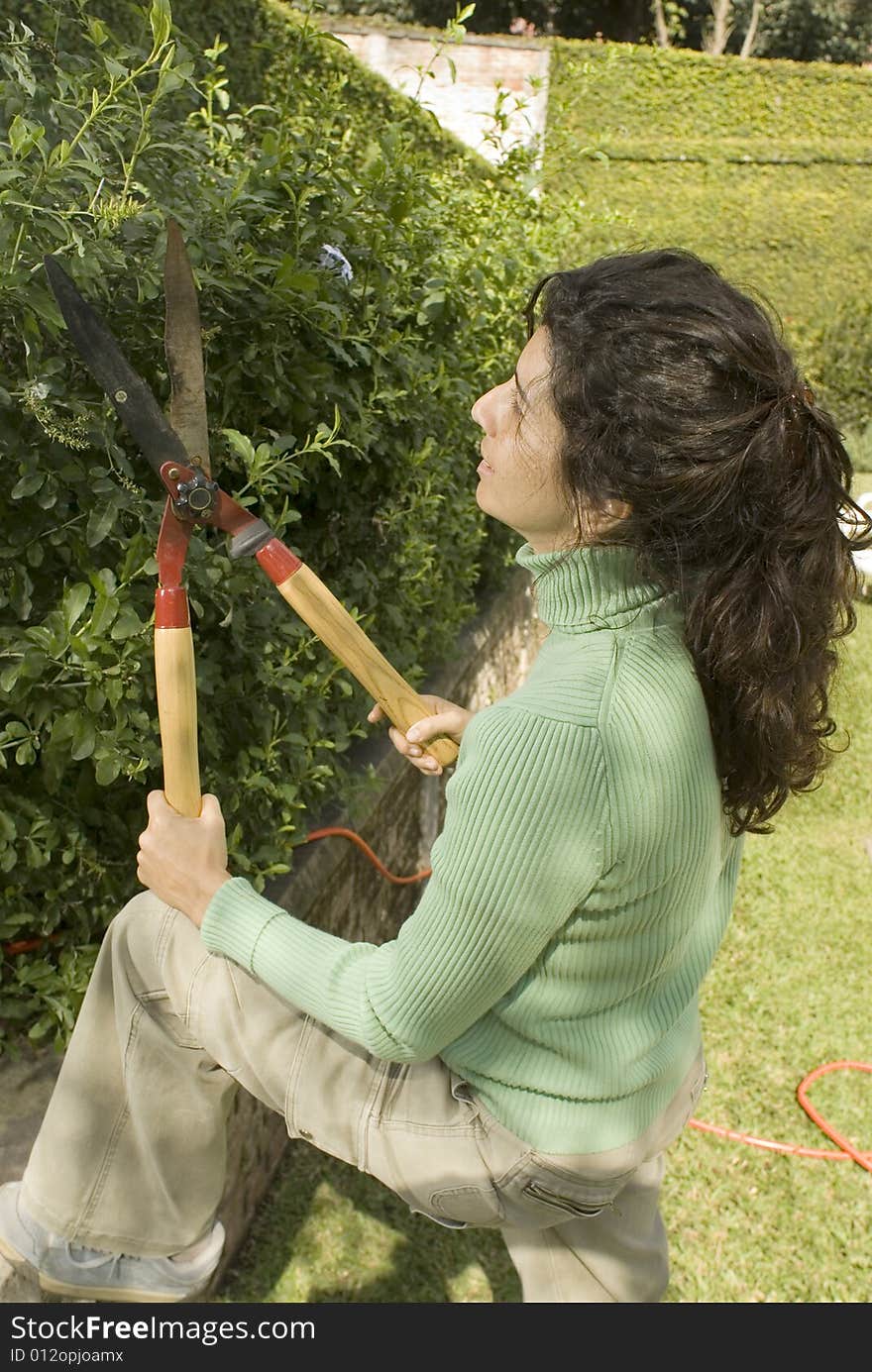 Woman sitting down trimming a hedge.  Vertically framed photo. Woman sitting down trimming a hedge.  Vertically framed photo.