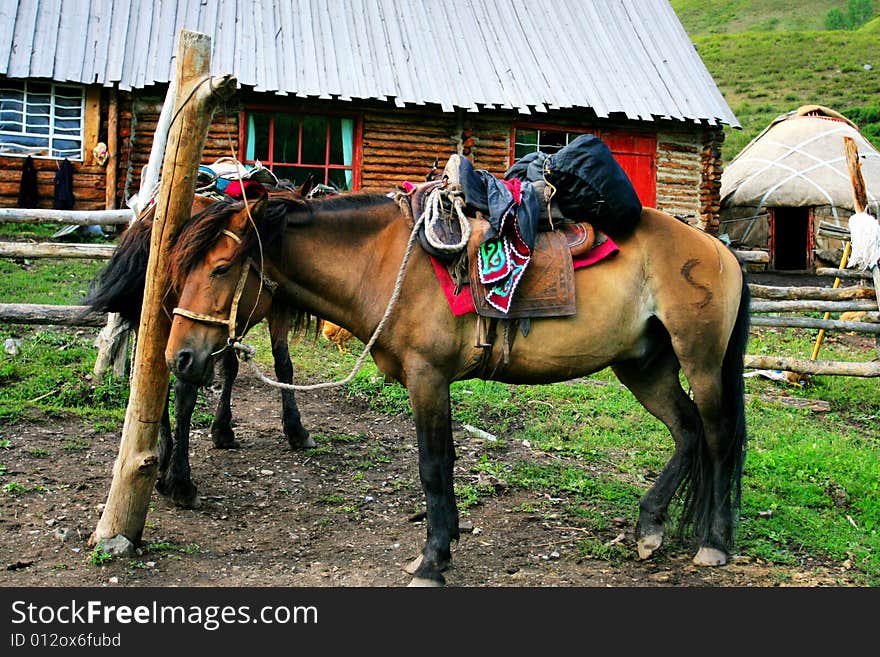 The  horse in the rest Inn