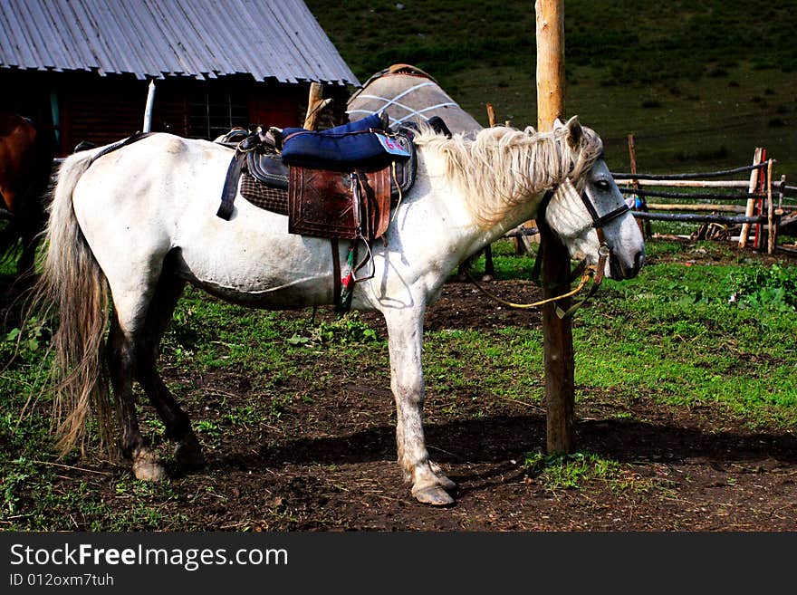 The  horse in the rest Inn