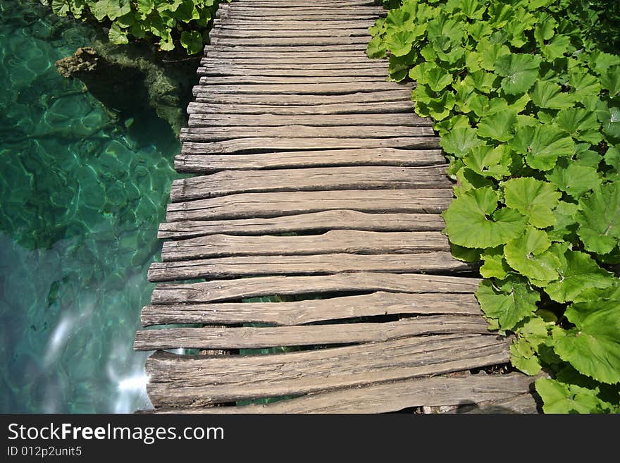 Plants, water and wooden bridge