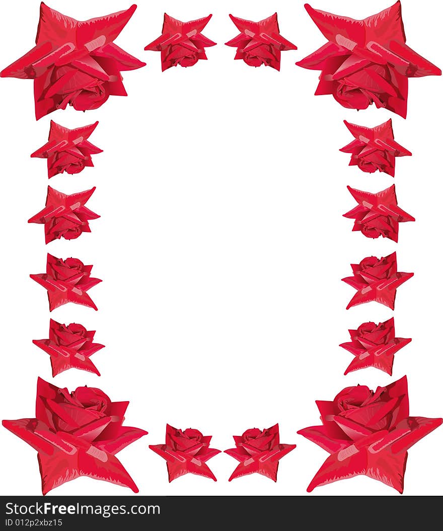 Red roses frame