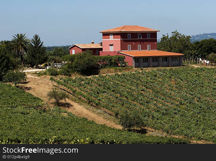 A view of the typical italian mason surrounded by vineyard. A view of the typical italian mason surrounded by vineyard