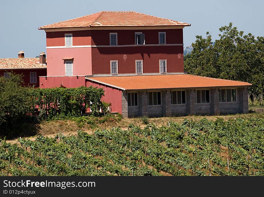 A view of the typical italian mason surrounded by vineyard. A view of the typical italian mason surrounded by vineyard