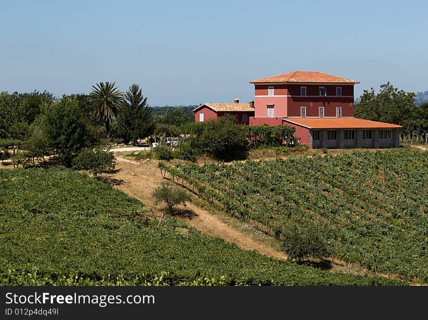 A view of the typical italian mason surrounded by vineyard. A view of the typical italian mason surrounded by vineyard