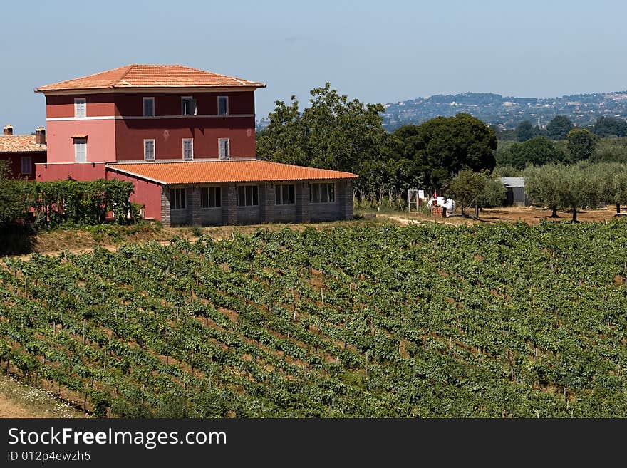 A view of the typical italian mason surrounded by vineyard. A view of the typical italian mason surrounded by vineyard