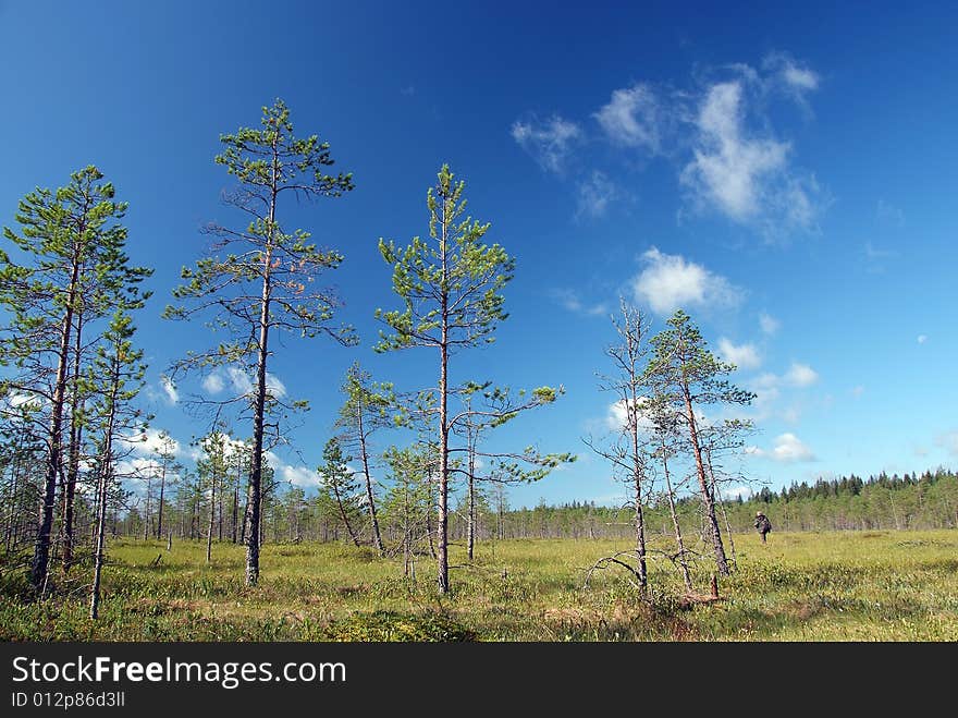 The russian village. summer sky and clouds. The russian village. summer sky and clouds.