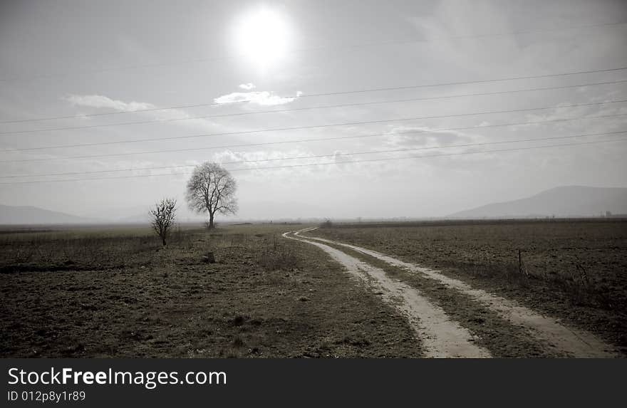 Landscape, two trees in mountain background