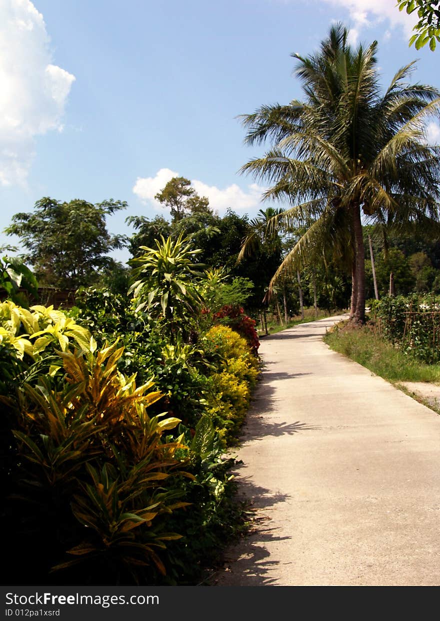 Thai landscape