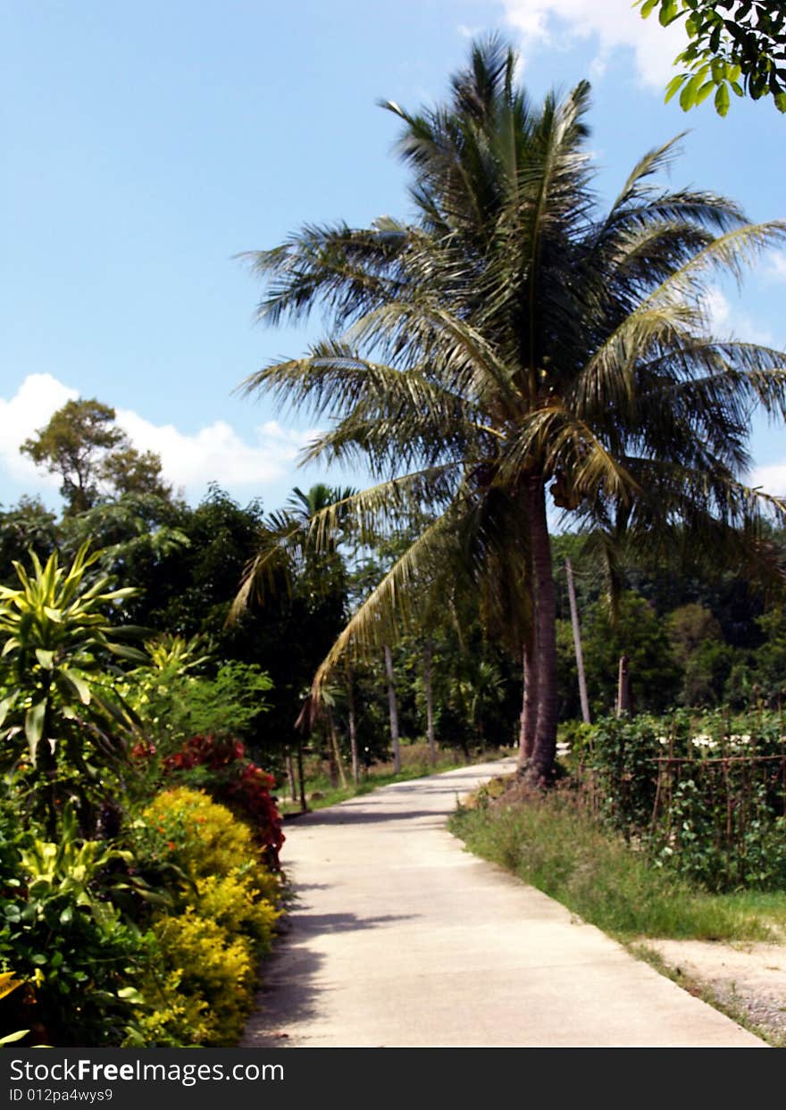 Landscape in Southern Thailand