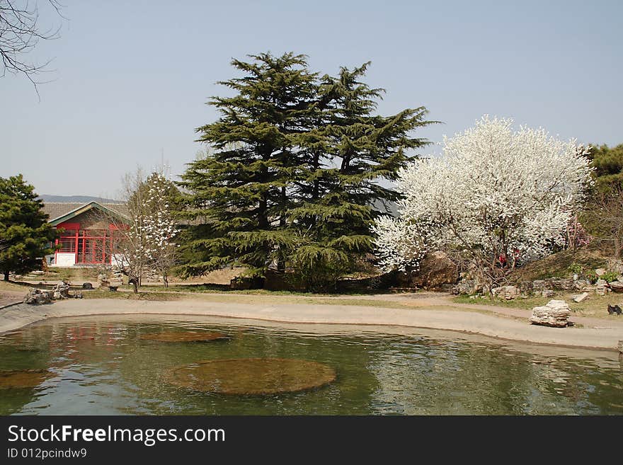 A house in a garden by a lake and several trees. A house in a garden by a lake and several trees