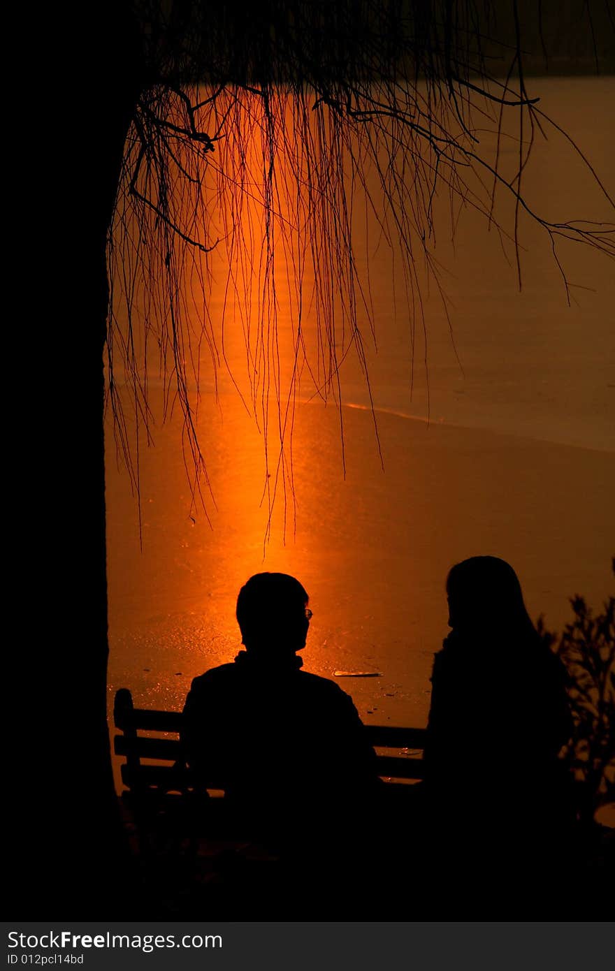 A man and a woman is talking by a tree in the dusk of the evening. A man and a woman is talking by a tree in the dusk of the evening