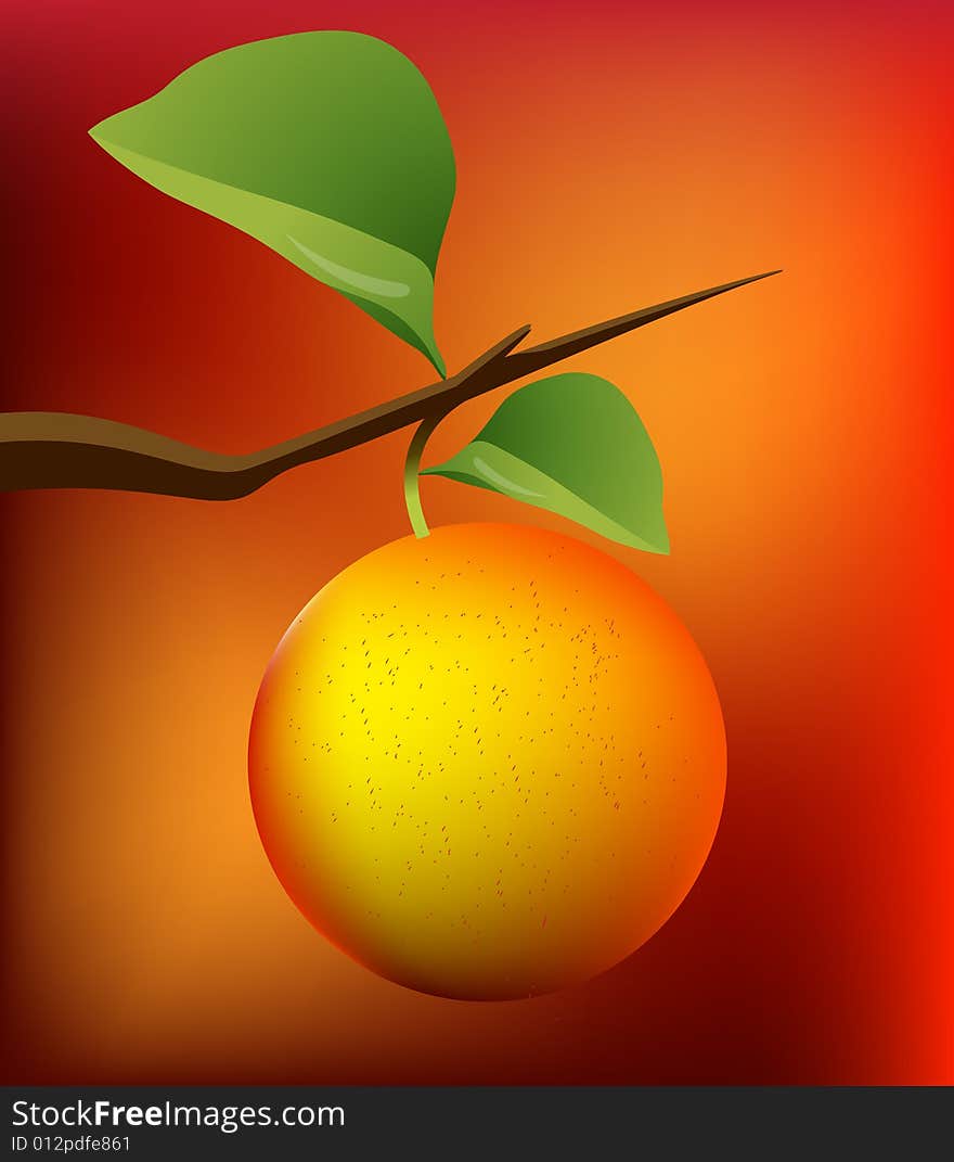 Orange 01