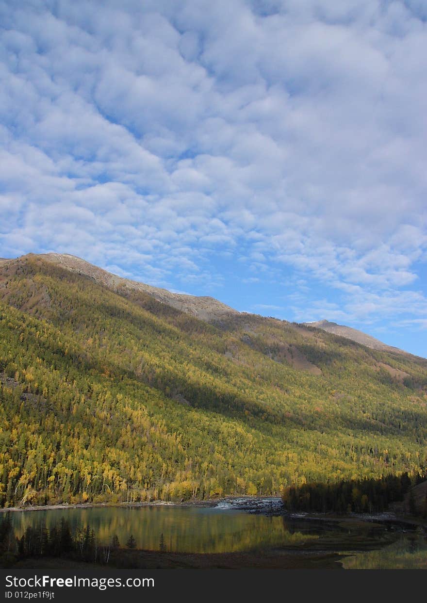 Mountain side by the lake are all in golden. Mountain side by the lake are all in golden.