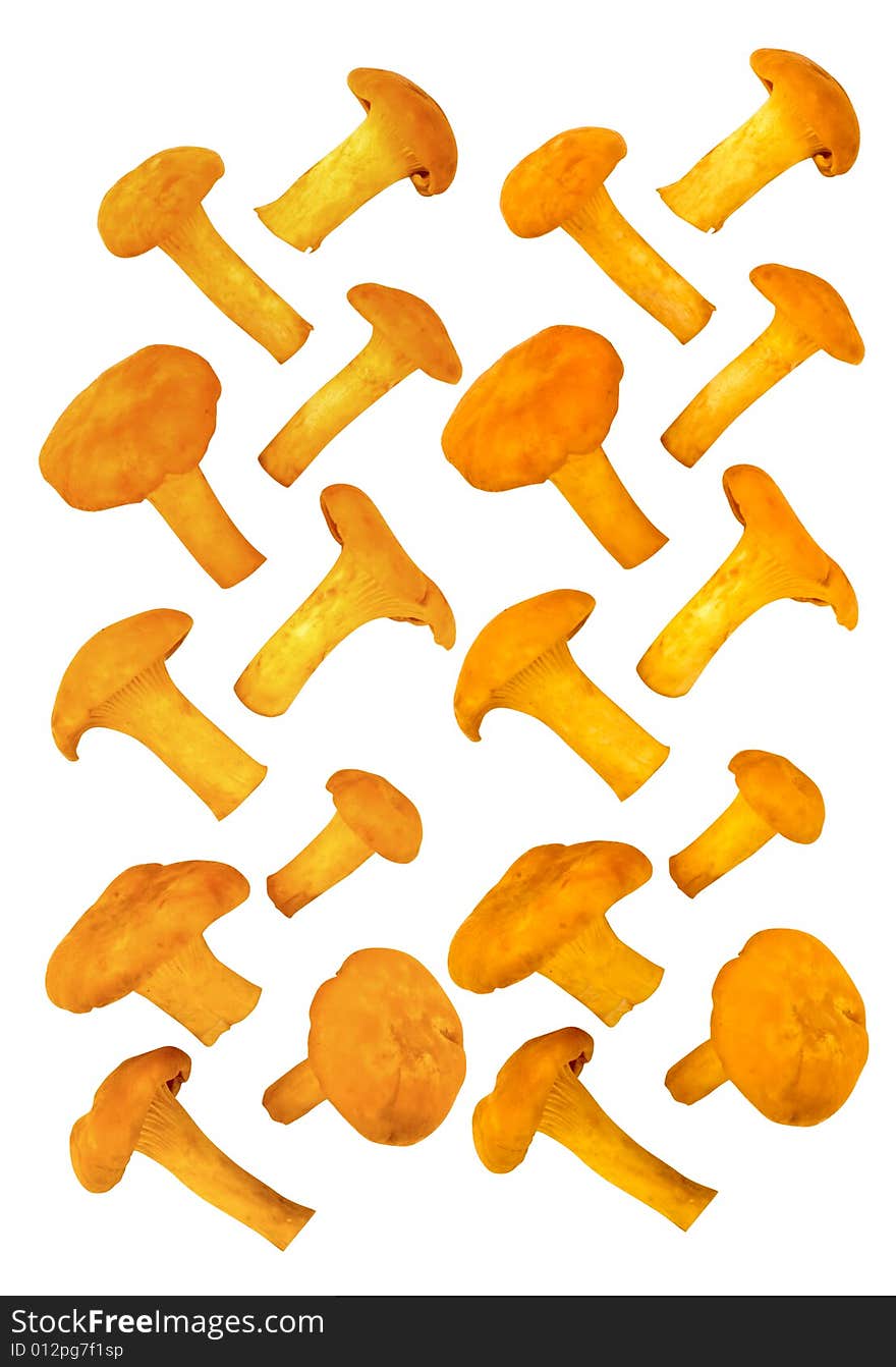 Chanterelles