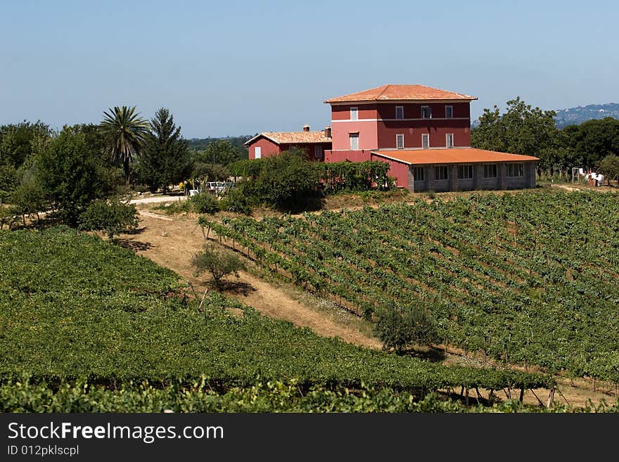 A view of the typical italian mason surrounded by vineyard. A view of the typical italian mason surrounded by vineyard