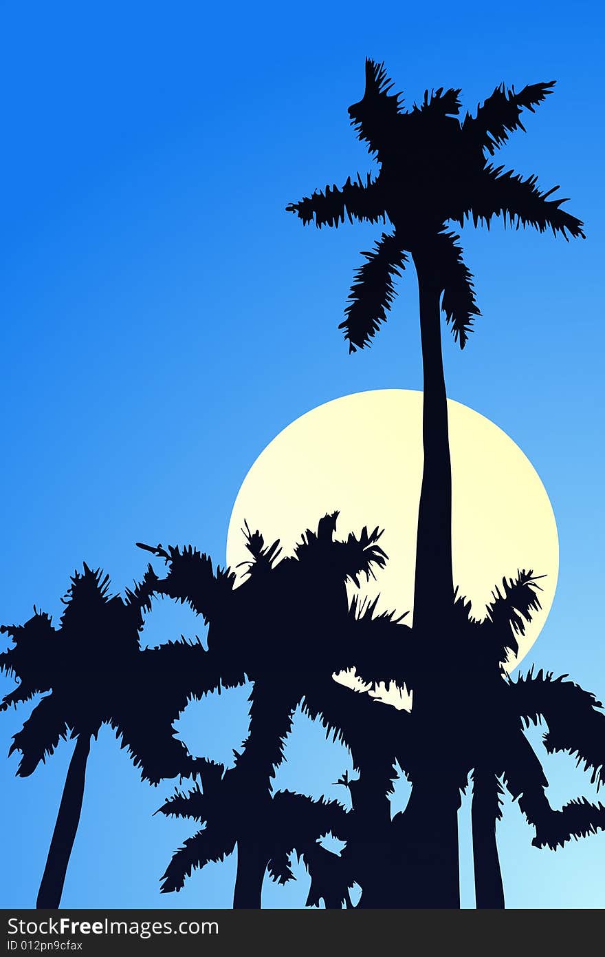 Vector illustration of palm trees