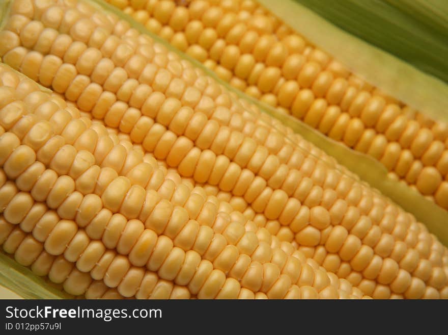 Fresh corn on the cob